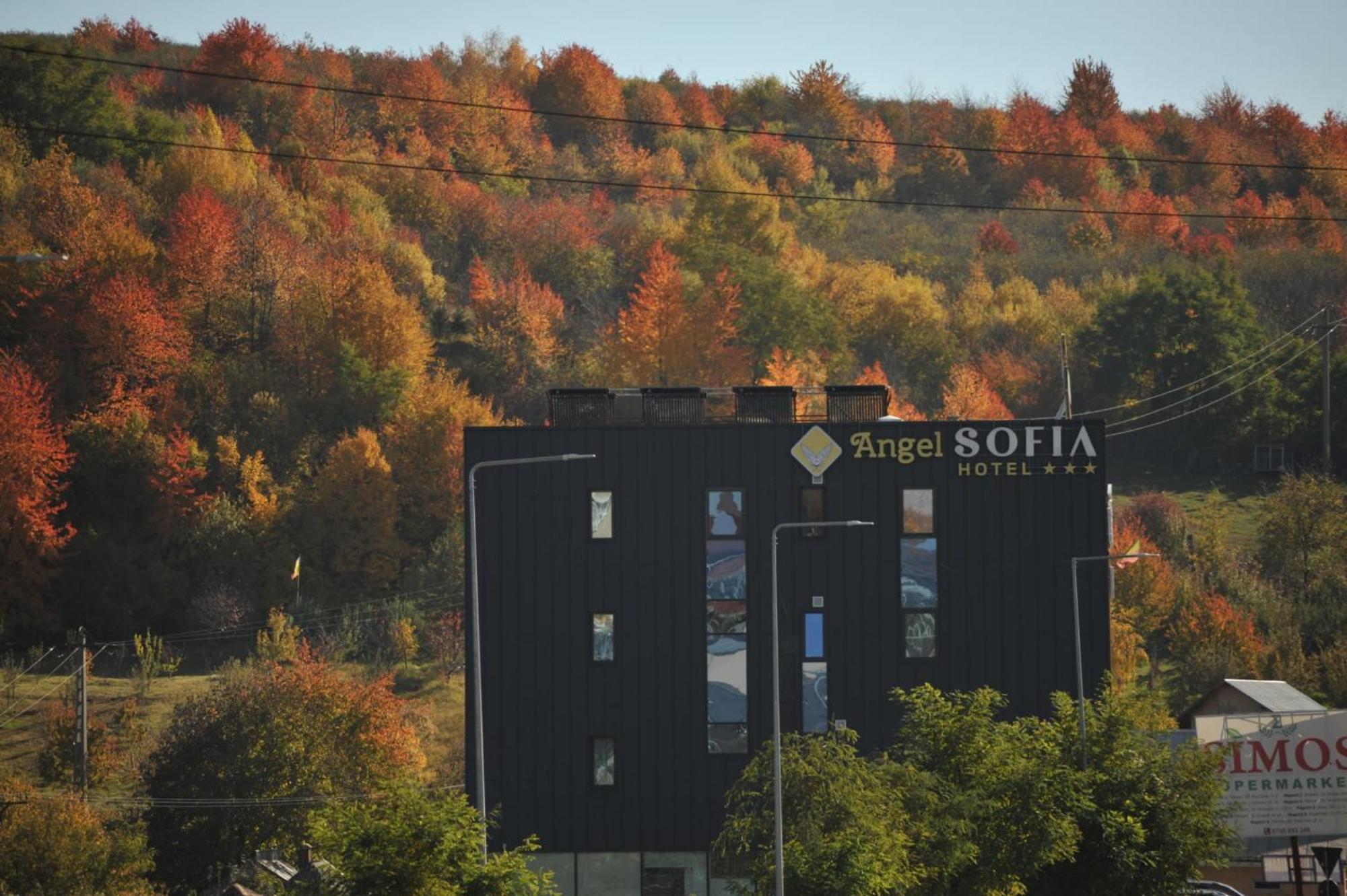 Hotel Angel Sofia Фэлтичени Экстерьер фото